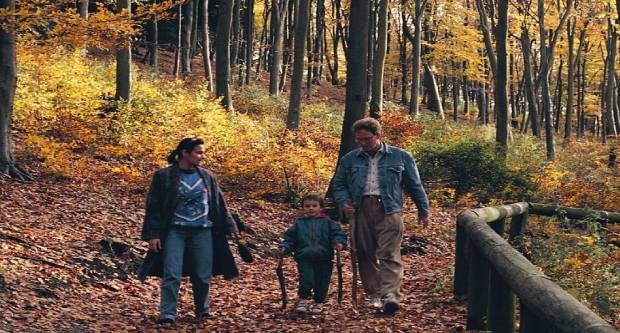 Family out for a walk in Queen Elizabeth Country Park, Hampshire amongst the fantastic autumn colours - Credit East Hampshire District Council